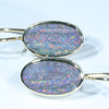 Great Opal Gift Idea  - Solid Queensland Boulder Opal Gold Earrings