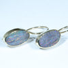 Natural Australian Boulder Opal Gold Earrings (15 x 8mm) Code W25