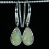 Silver Opal Earrings  - Australian Opal Shop - Gold Coast