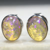 Delicious Lolly Looking Opal Studs